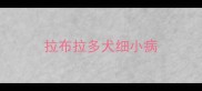 拉布拉多犬细小病