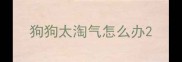 狗狗太淘气怎么办