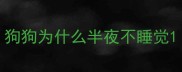 狗狗为什么半夜不睡觉