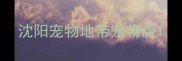 沈阳宠物地带宠物店