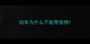 动车为什么不能带宠物