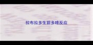 拉布拉多生前多啥反应