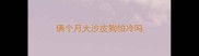 俩个月大沙皮狗怕冷吗