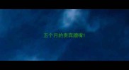 五个月的贵宾蹭嘴