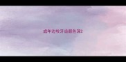 成年边牧牙齿颜色深