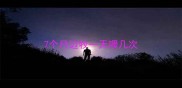 7个月边牧一天喂几次
