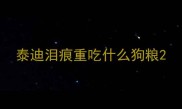 泰迪泪痕重吃什么狗粮