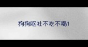 狗狗呕吐不吃不喝