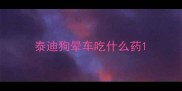 泰迪狗晕车吃什么药