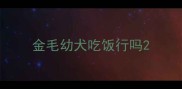 金毛幼犬吃饭行吗