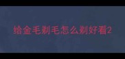 给金毛剃毛怎么剃好看