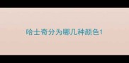 哈士奇分为哪几种颜色