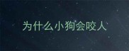 为什么小狗会咬人