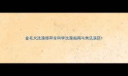 金毛犬洗澡频率全科学洗澡指南与常见误区