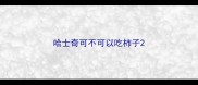 哈士奇可不可以吃柿子
