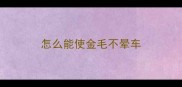 怎么能使金毛不晕车