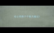 哈士奇鼻子干整天睡觉