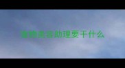 宠物美容助理要干什么