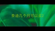 泰迪几个月可以买