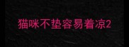 猫咪不垫容易着凉