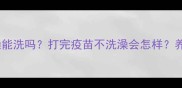 狂犬疫苗后洗澡能洗吗打完疫苗不洗澡会怎样养宠必看