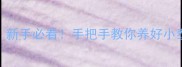 泰迪幼犬1个月大怎么养新手必看手把手教你养好小泰迪附超全护理指南