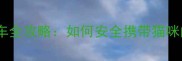 带宠物坐火车全攻略如何安全携带猫咪的必备指南