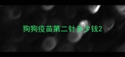 狗狗疫苗第二针多少钱