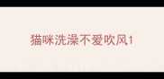猫咪洗澡不爱吹风
