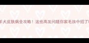 边境牧羊犬皮肤病全攻略这些高发问题你家毛孩中招了吗