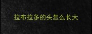 拉布拉多的头怎么长大