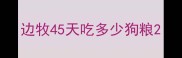 边牧45天吃多少狗粮
