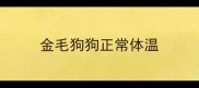 金毛狗狗正常体温