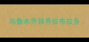 乌鲁木齐领养拉布拉多