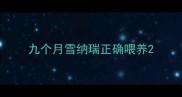 九个月雪纳瑞正确喂养