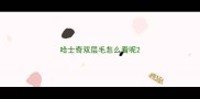 哈士奇双层毛怎么看呢