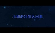 小狗老吐怎么回事