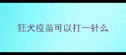狂犬疫苗可以打一针么