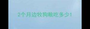 2个月边牧狗粮吃多少