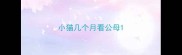 小猫几个月看公母