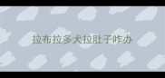 拉布拉多犬拉肚子咋办