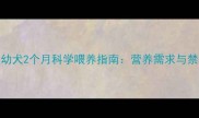 泰迪幼犬2个月科学喂养指南营养需求与禁忌全