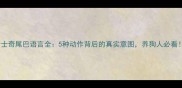 哈士奇尾巴语言全5种动作背后的真实意图养狗人必看