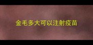 金毛多大可以注射疫苗