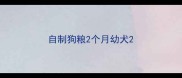 自制狗粮2个月幼犬