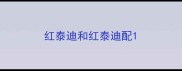 红泰迪和红泰迪配