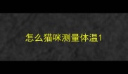 怎么猫咪测量体温