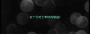 五个月哈士奇体内驱虫