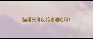 猫罐头可以给泰迪吃吗