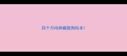 四个月纯种藏獒狗标本